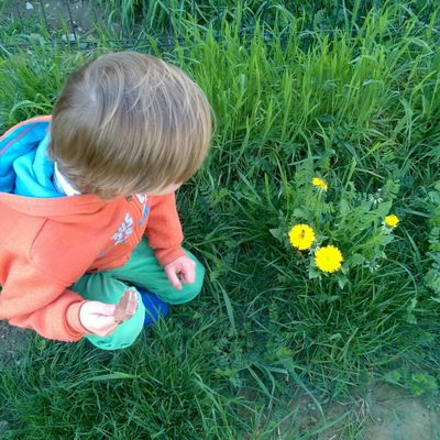 Nos dernières semaines en images