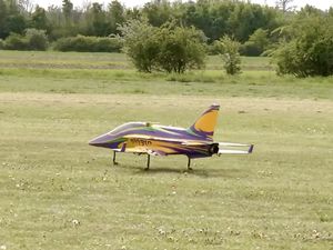 Un Fly Baby, un jet lors d’un meeting aéromodélisme.