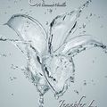 Elixir ~~ Jennifer L. Armentrout