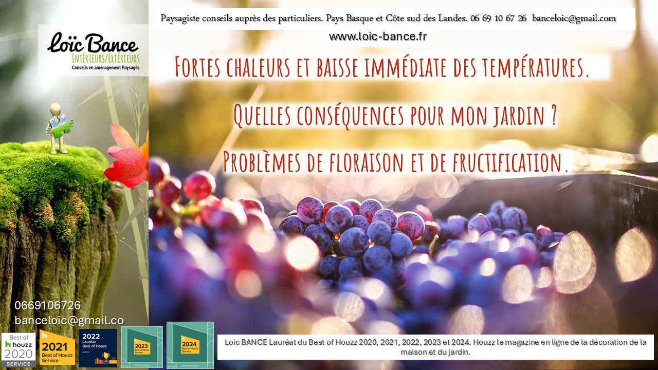 Paysagiste Pays Basque Paysagiste Landes Floraisons et fructification des plantes