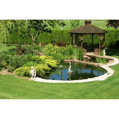 Installer un bassin dans son jardin