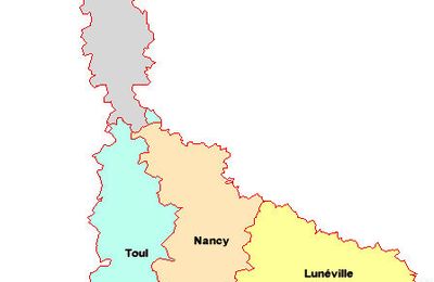 GRIPPE A EN LORRAINE