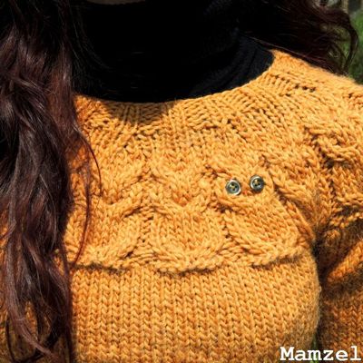 Mon pull hibouxxx