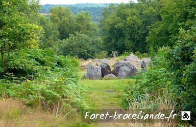 Brocéliande.."L'Hôtier de Viviane"(maison)