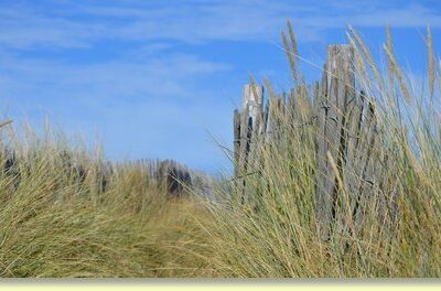 ... ceux qui étaient passés de l'est à ouest ...