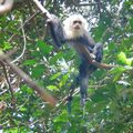 parc national rincon de la vieja