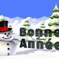 Bonne année 2013