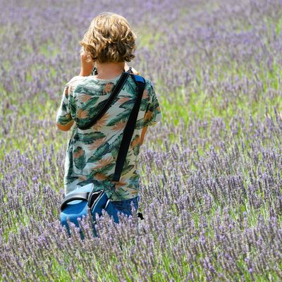 La Tribu en Provence