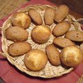 Petits biscuits , madeleines et cake , réalisés