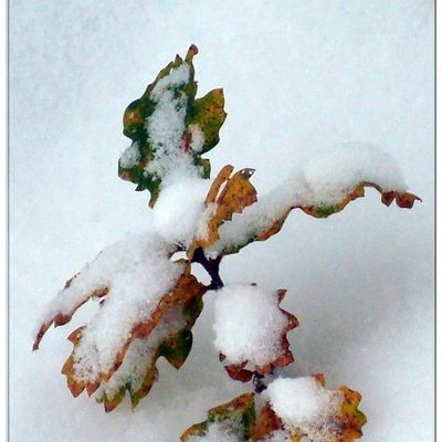 DELERM en écho à DELERM...