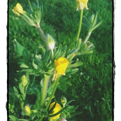 Quelques nouvelles en passant...