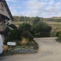 Visite au domaine Henri Chauvet à Boudes (partie 2) ****