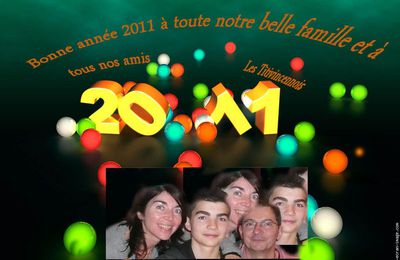 Une bonne année 2011