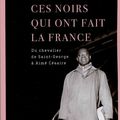 Ces Noirs qui ont fait la France, de Benoît Hopkin