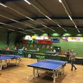 initiation tennis de table