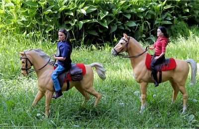 À cheval, mais pas trop vite