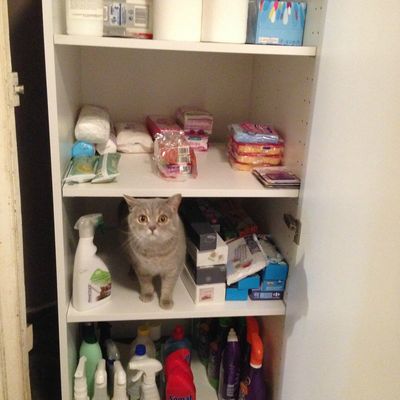 Mais c'est surtout :