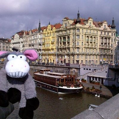 Envoyer votre nounours en vacances