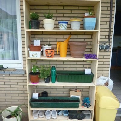 les herbes culinaires à l'abris du mauvais temps