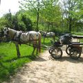 rando avec arret aire de pique nique de la chapelle de Garreau au Martinet :85 