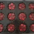 moelleux chocolat et framboises