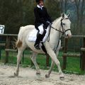 Le dressage