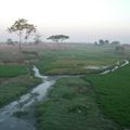 Vue du train Yangon --> Bago 2