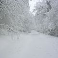 Snow in the bocage