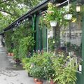 Le marché aux fleurs Reine Elisabeth II à Paris