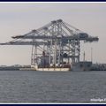 Le Zhen Hua 11 livre au Havre Port 2000 les portiques du terminal de la Porte Océane