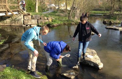 Retour à Ostheim 