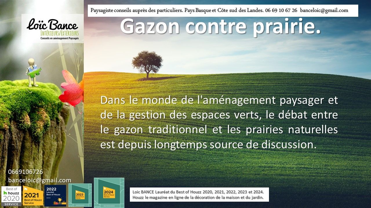 Le débat entre gazon et prairie est depuis longtemps source de discussion par Paysagiste Pays Basque et Paysagiste Landes.