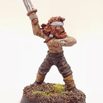 Viking Berserker / Citadel