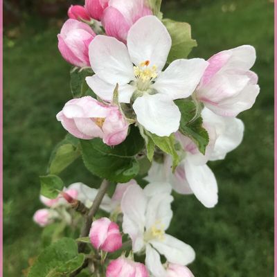 EXPLOSION DE COULEURS