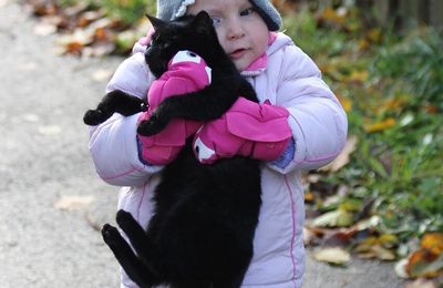 COHABITATION CHAT ET BEBE