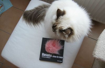 Rosalie aime le rose (mais pas seulement) - Claire Cantais