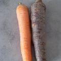 Des carottes pas comme les autres ....
