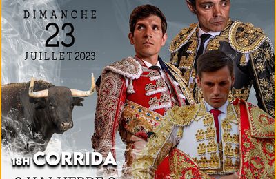 TOROS EN ORTHEZ