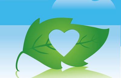 une nouvelle MAP, une brioche!deux brioche !