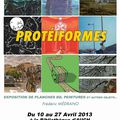 EXPO "PROTÉIFORMES" à AUCH