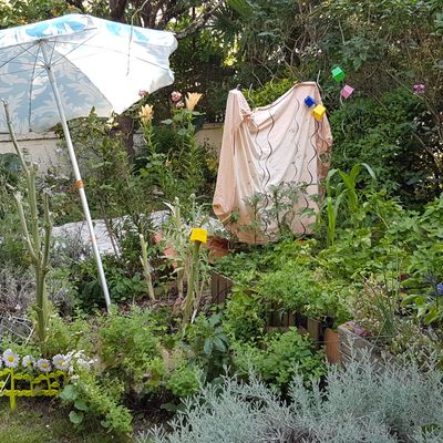 Visitandine, musique et les fleurs de la semaine