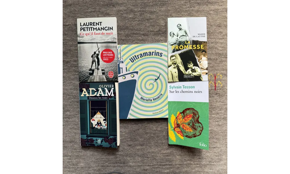 Livres 2025 (2)