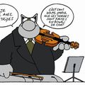 pensée du chat