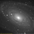 M81 au C11