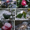 Quelques flocons...