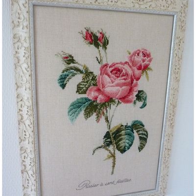 Allons voir si la rose...
