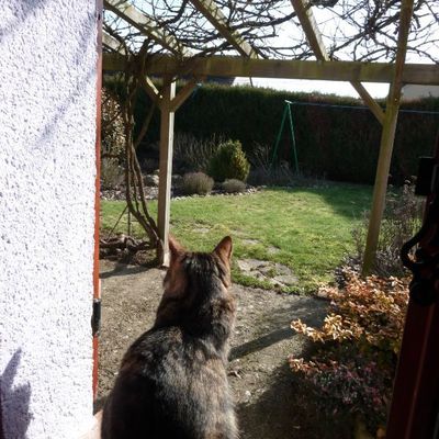 SUITE DU CHAPITRE 18