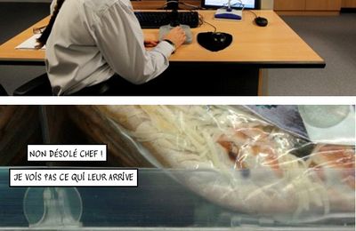 Poursuivi par les signes
