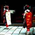 #COLORS OF GEISHAS#