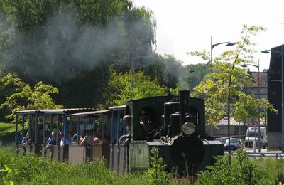 Train touristique de la vallée de la scarpe